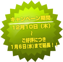 �L�����y�[������ �P�Q���P�O���i�؁j�`���D�]�ɂ��P���U���i���j�܂ŉ����I�I